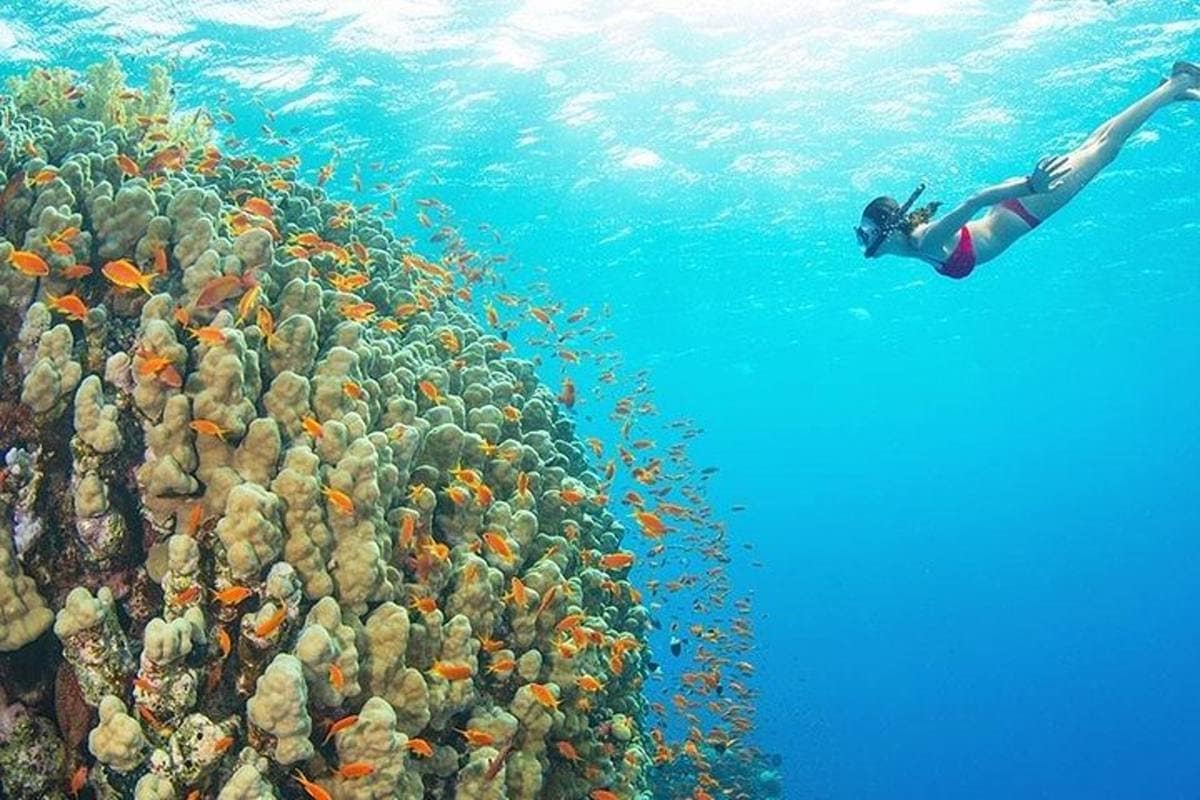 snorkeling in munemba